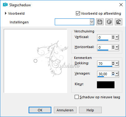 slagschaduw